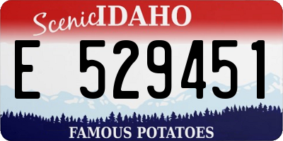 ID license plate E529451