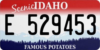 ID license plate E529453