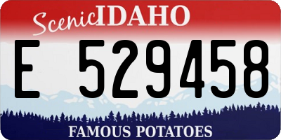 ID license plate E529458