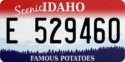 ID license plate E529460