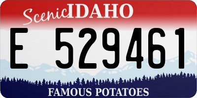 ID license plate E529461