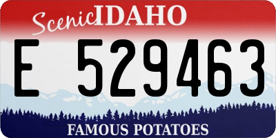 ID license plate E529463