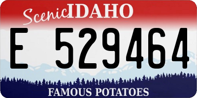 ID license plate E529464