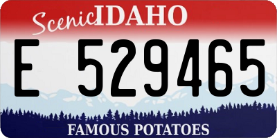 ID license plate E529465