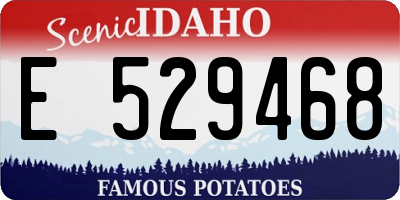 ID license plate E529468