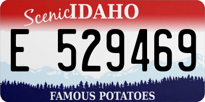 ID license plate E529469