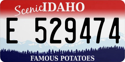 ID license plate E529474