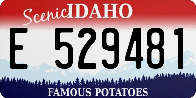 ID license plate E529481