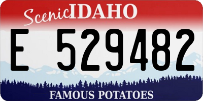 ID license plate E529482