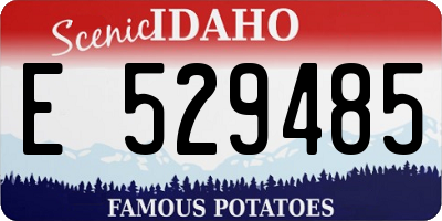 ID license plate E529485