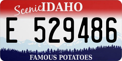 ID license plate E529486