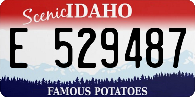 ID license plate E529487