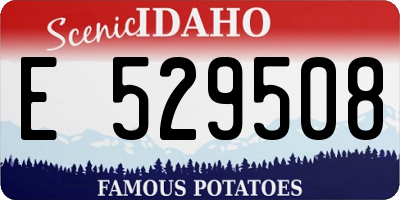 ID license plate E529508