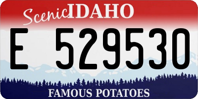 ID license plate E529530
