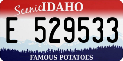 ID license plate E529533