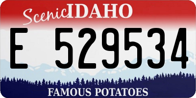 ID license plate E529534