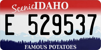 ID license plate E529537