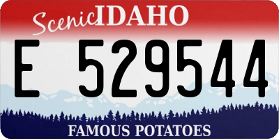 ID license plate E529544