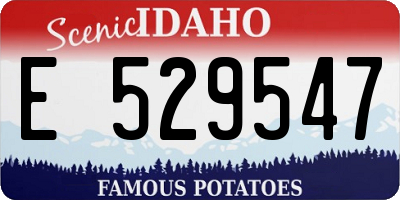 ID license plate E529547