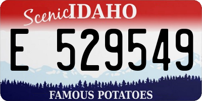 ID license plate E529549