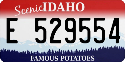 ID license plate E529554