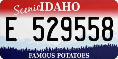 ID license plate E529558