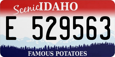 ID license plate E529563