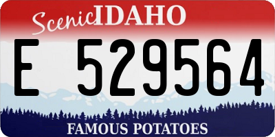 ID license plate E529564