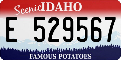 ID license plate E529567
