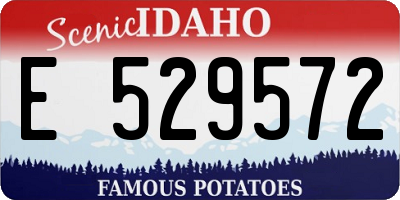 ID license plate E529572