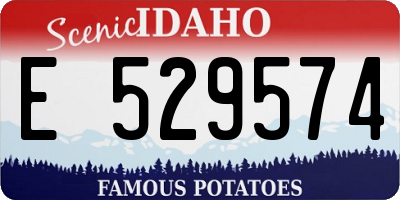 ID license plate E529574