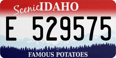 ID license plate E529575