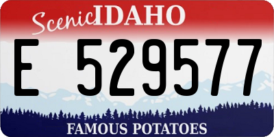 ID license plate E529577
