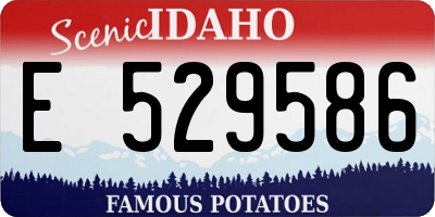 ID license plate E529586