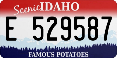 ID license plate E529587