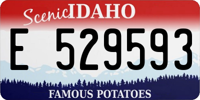 ID license plate E529593