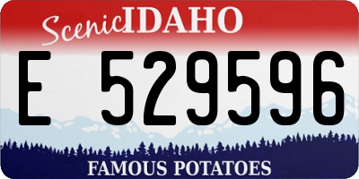 ID license plate E529596