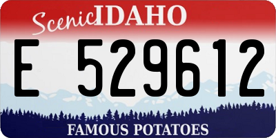 ID license plate E529612