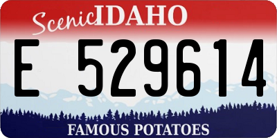 ID license plate E529614