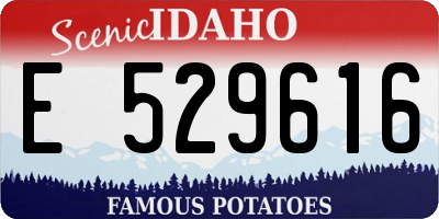 ID license plate E529616