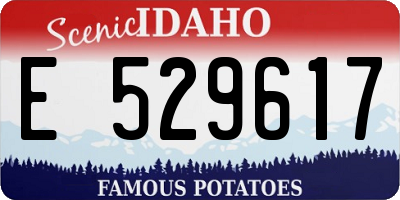 ID license plate E529617