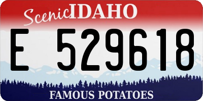 ID license plate E529618