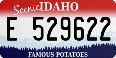 ID license plate E529622