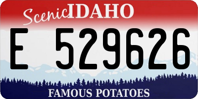 ID license plate E529626