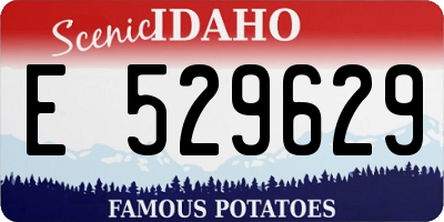 ID license plate E529629