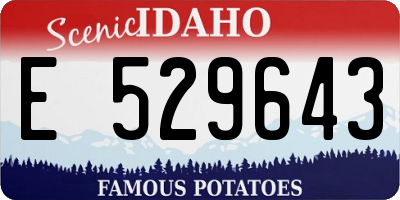 ID license plate E529643