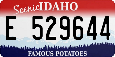 ID license plate E529644