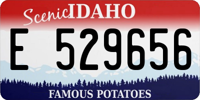 ID license plate E529656