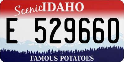 ID license plate E529660
