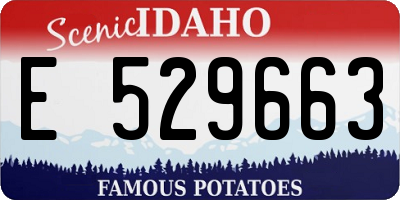 ID license plate E529663